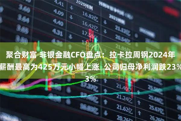 聚合财富 非银金融CFO盘点：拉卡拉周钢2024年薪酬最高为425万元小幅上涨  公司归母净利润跌23%