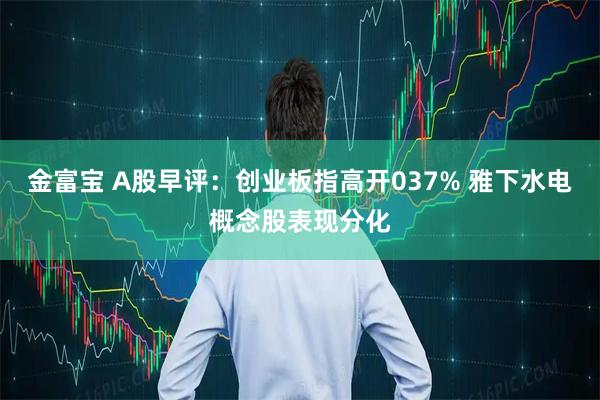 金富宝 A股早评：创业板指高开037% 雅下水电概念股表现分化