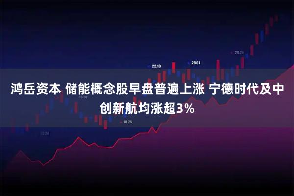 鸿岳资本 储能概念股早盘普遍上涨 宁德时代及中创新航均涨超3%